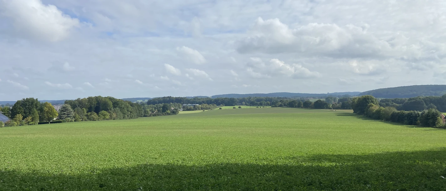 Blick vom Wald.jpeg Bred grøn eng under en overskyet himmel, omgivet af træer og bakker i det fjerne.