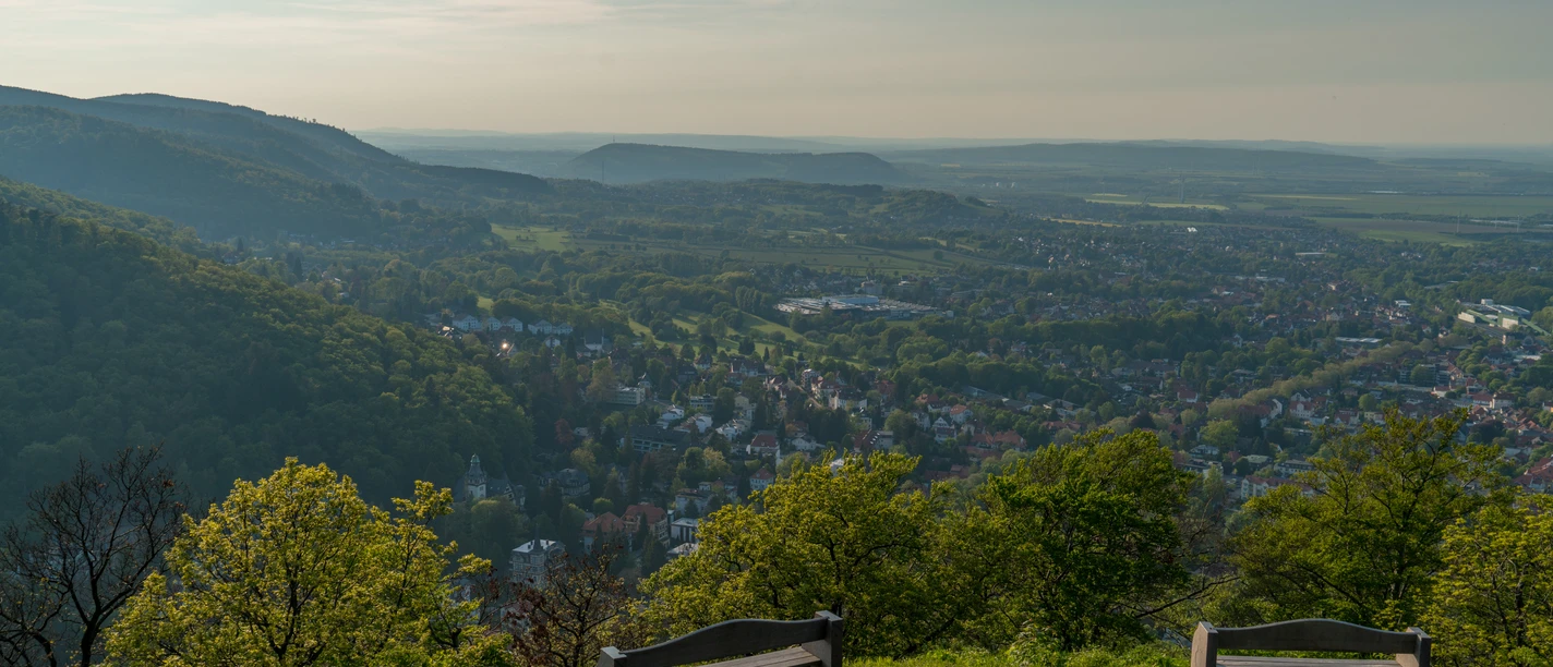 Burgberg_Blick.jpg