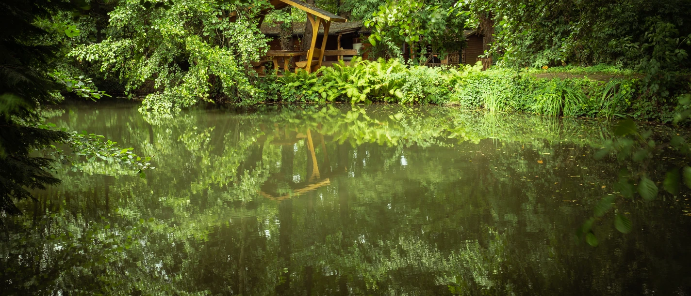 LieblingsGruen_Naturcamp im Erlengrund Ein ruhiger Teich mit dichtem Blattwerk, überragt von einem Holzgebäude im Grünen in einem Naturcamp.