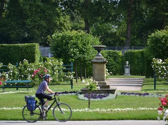 Schlosspark Person in bunter Bluse fährt mit Fahrrad durch gut gepflegten Rosengarten mit steinernem Brunnen.