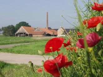 Hof in ländlicher Umgebung mit blühenden roten Mohnblumen im Vordergrund und rustikalen Gebäuden.