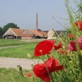 Alte Ziegelei in Wiedenbrück Hof in ländlicher Umgebung mit blühenden roten Mohnblumen im Vordergrund und rustikalen Gebäuden.