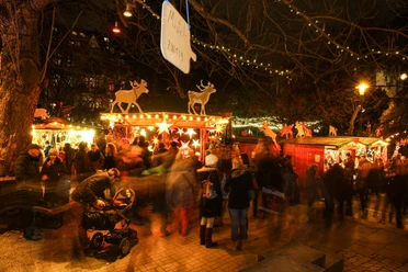 Stadtgarten Christmas market A lively Christmas market in Cologne's Stadtgarten at night, with illuminated stalls and people.