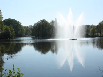 09-04-20_024 Ellernteich.jpg