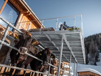 Bürli-Schiirli Hofbeiz Bürli-Schiirli Hofbeiz