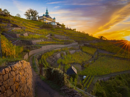 Radebeul_Spitzhaus_Weinberge3_Sonnenaufgang_SRoseFotografie.jpg
