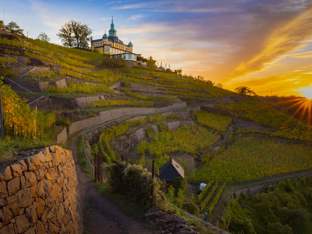 Radebeul_Spitzhaus_Weinberge3_Sonnenaufgang_SRoseFotografie.jpg Weinberge bei Sonnenaufgang mit einem historischen Gebäude auf dem Hügel im Hintergrund.