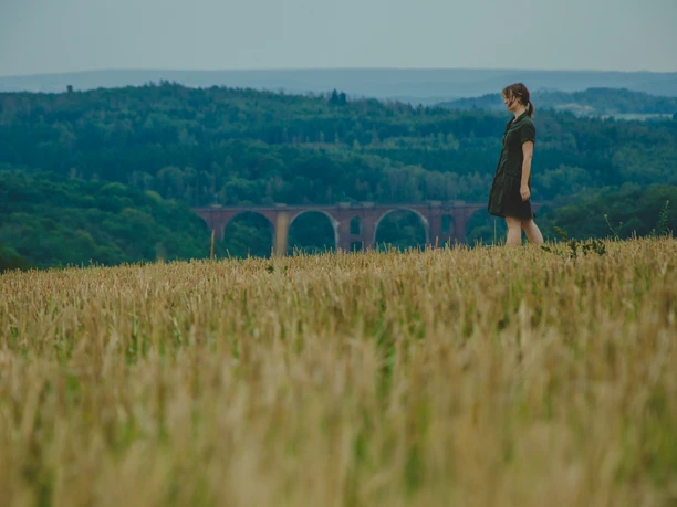 vogtland-panoramaweg-Annemarie-Strehl-02.jpg Eine Person steht auf einem Feld und blickt auf einen Viadukt, umgeben von grünen Wäldern.