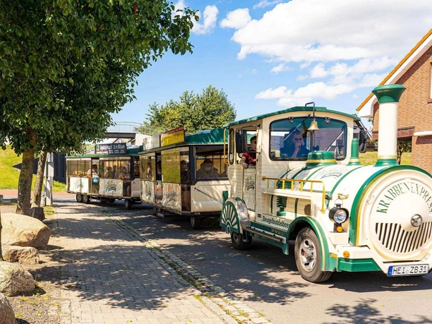 Büsumer Krabbenexpress