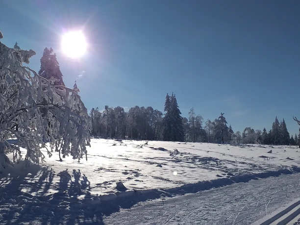 Nachtloipe Kniebis Langlauf Nachtloipe Kniebis Langlauf