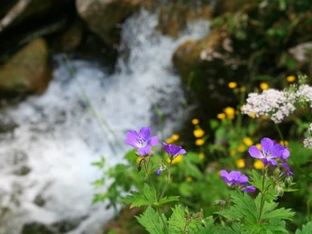 Wasserkessel Schleifmühlklamm