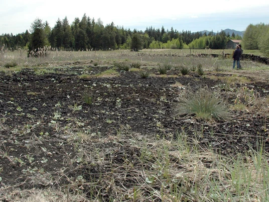 Moorabbaugebiet Bad Kohlgrub