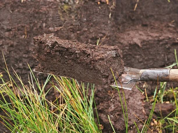 frisch gestochenes Moor