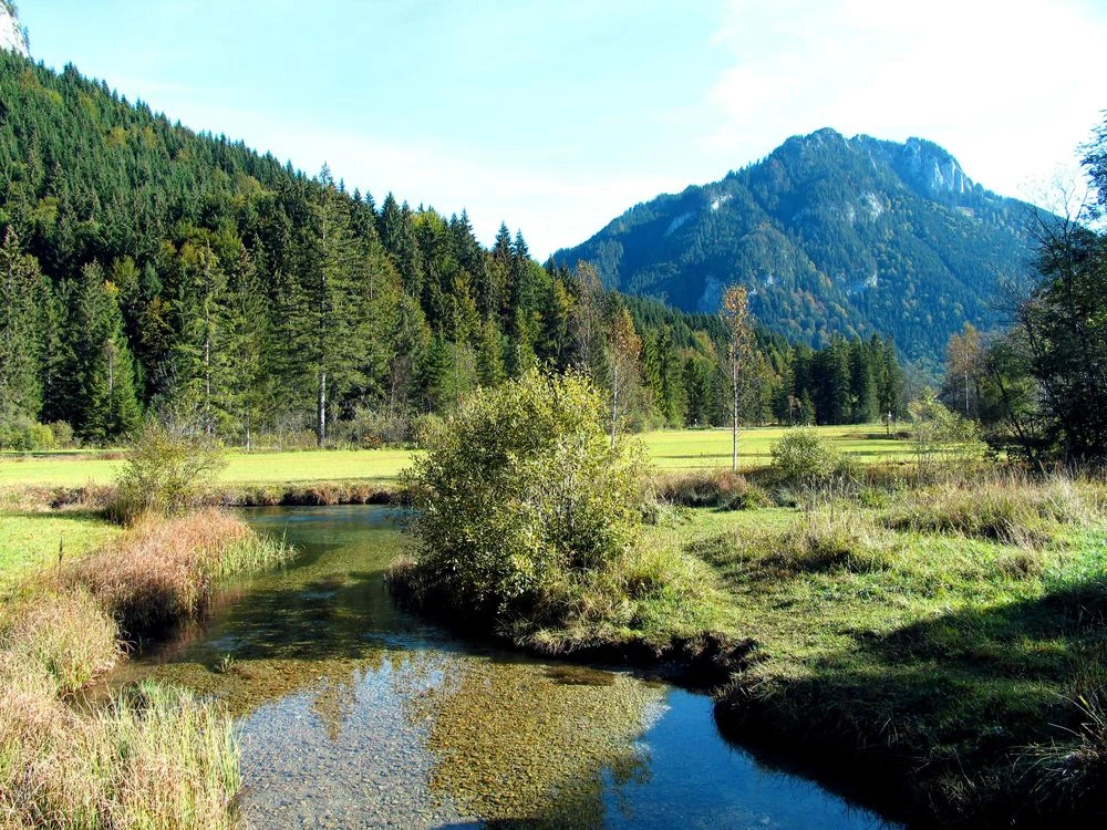 Ammerquellen im Graswangtal
