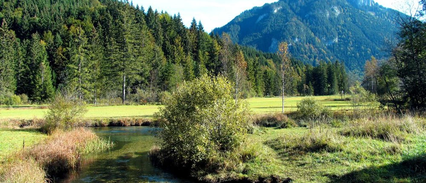 Ammerquellen im Graswangtal