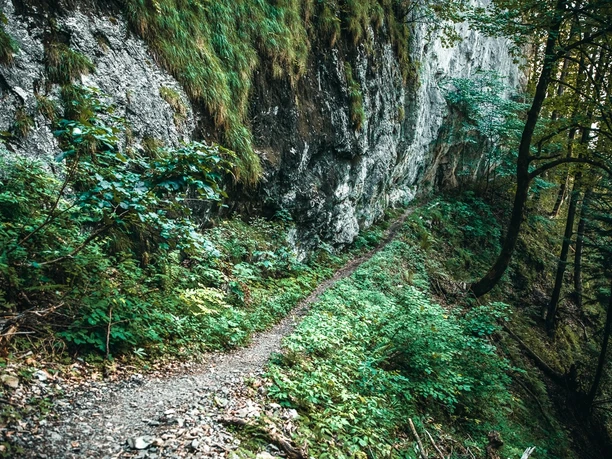 Bergwanderweg