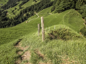 Aussichtsreicher Wanderweg
