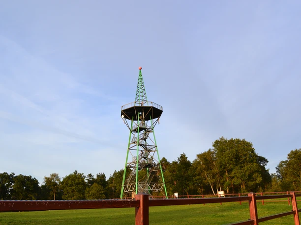 DSC_0624_Christin 10-11.JPG