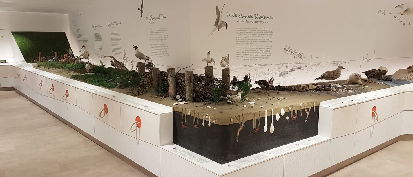 Landschaftsmodell Wattenmeer.jpg