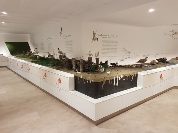 Landschaftsmodell Wattenmeer.jpg