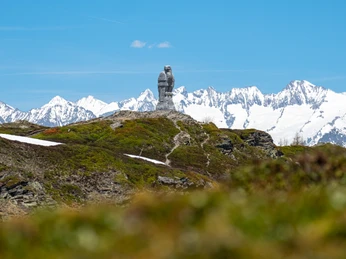 Steinadler auf dem Simplonpass Bild vom Steinadler auf dem SimplonpassPicture of the golden eagle on the Simplon PassPhoto de l'aigle royal au col du Simplon