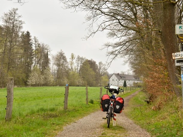 Radweg im Niestetal.jpg