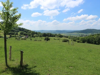Etappe_6_Niedenstein_am_R12_Suedblick_zum_Kellerwald_06_2020.jpg