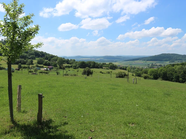 Etappe_6_Niedenstein_am_R12_Suedblick_zum_Kellerwald_06_2020.jpg
