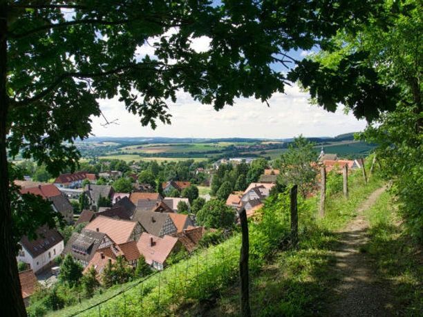 schieder.jpg