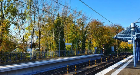 Rhöndorf Linie 66