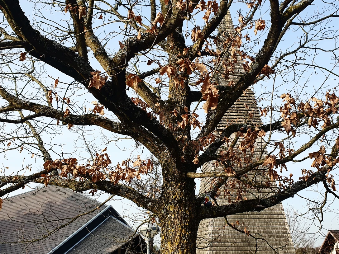 Friedenskirche Aegidienberg