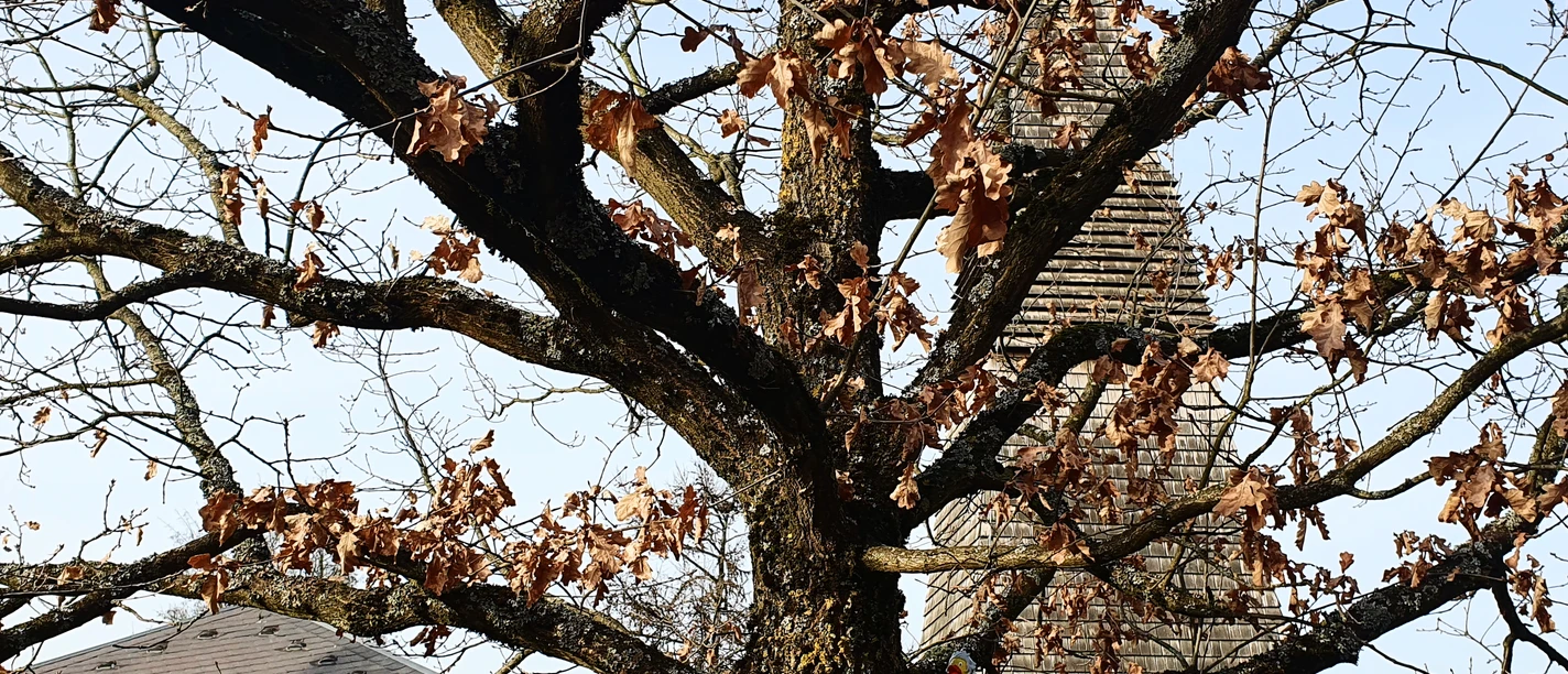 Friedenskirche Aegidienberg