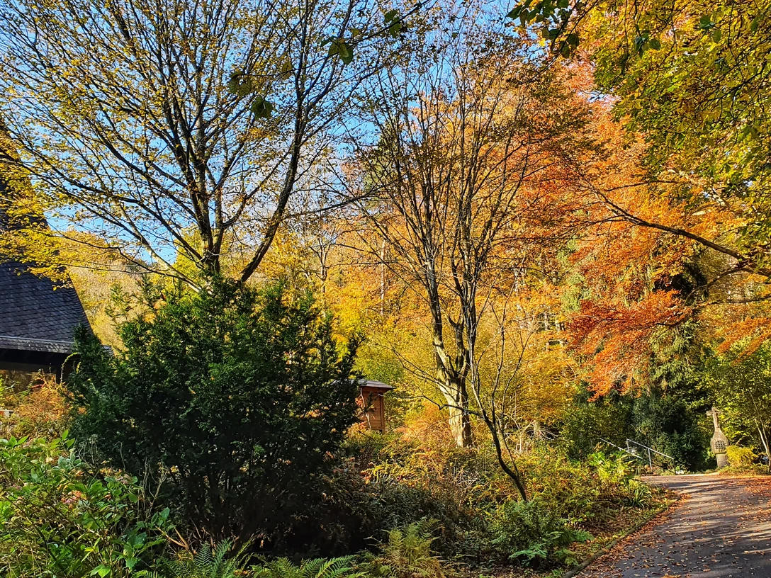 Waldfriedhof in Rhöndorf