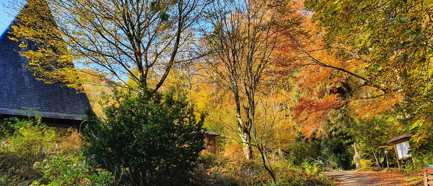 Waldfriedhof in Rhöndorf