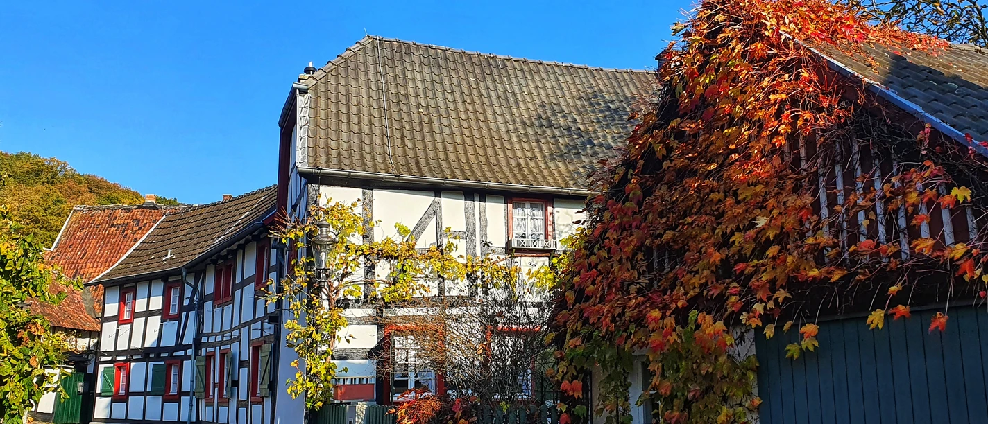 Möschbach Winzerhöfe