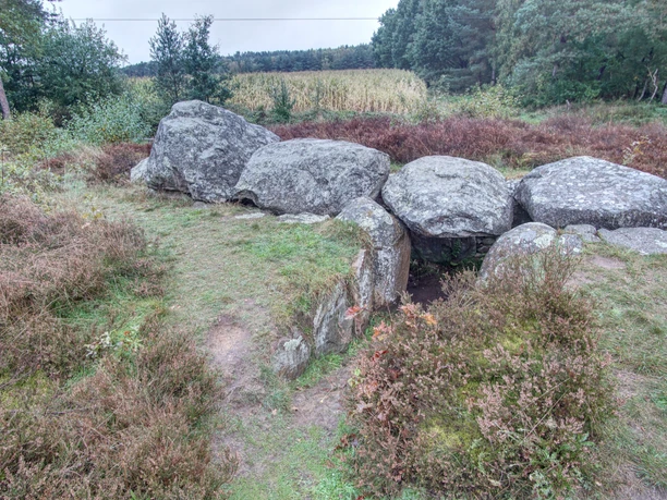 Großsteingrab in Heide- und Waldlandschaft bei Soderstorf.