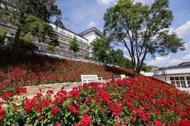 Rosenhang am Weinbrunnen.JPG