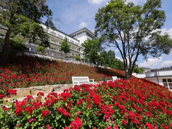 Rosenhang am Weinbrunnen.JPG
