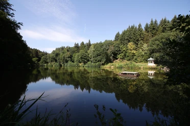 Waldsee.JPG