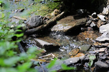 Bad_Schwalbach_180717_45.JPG