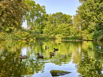 Amtsgarten Ahlum Amtsgarten Ahlum