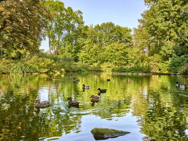 Amtsgarten Ahlum Amtsgarten Ahlum