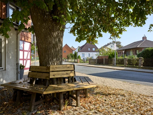 Ruhebank unter der Linde Ruhebank unter der Linde