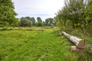 Gutspark Wendessen Gutspark Wendessen