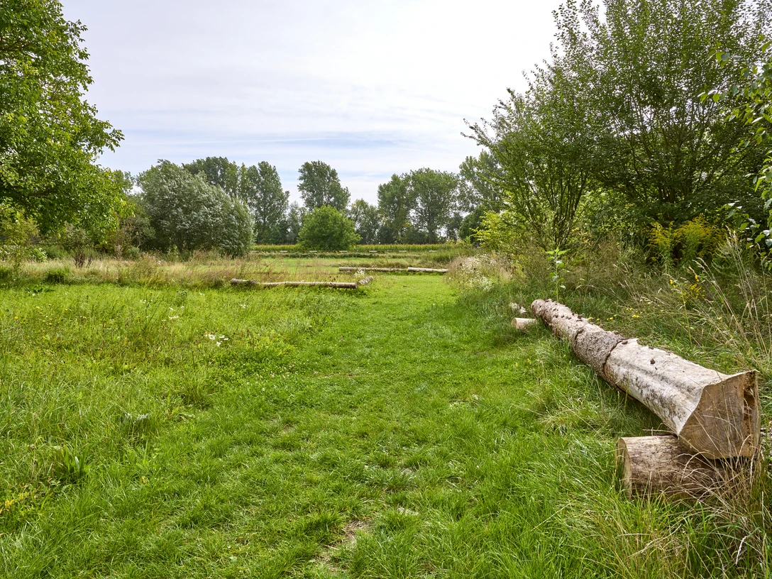 Gutspark Wendessen Gutspark Wendessen