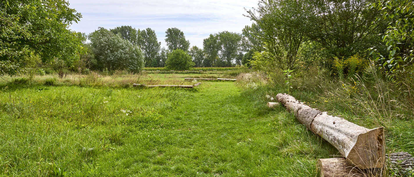 Gutspark Wendessen Gutspark Wendessen