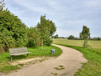 Aussichtsbank am Feldrand Wendessen Aussichtsbank am Feldrand Wendessen