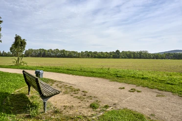 Aussichtsbank am Feldrand Wendessen Aussichtsbank am Feldrand Wendessen
