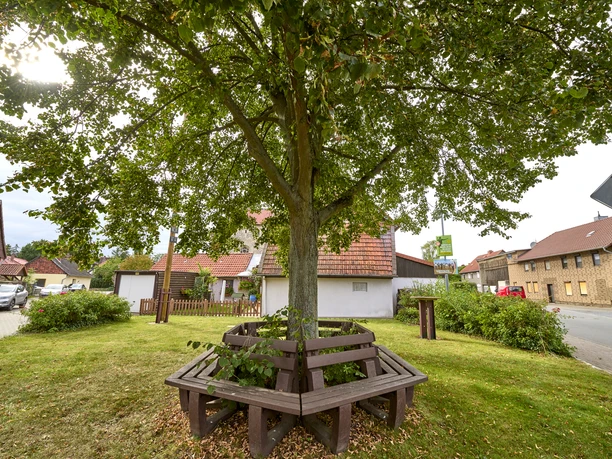 Picknickplatz mit Stehtisch Hachum Picknickplatz mit Stehtisch Hachum