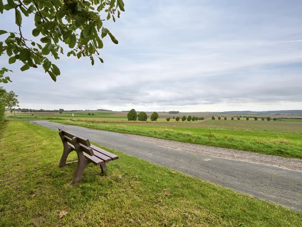 Ruhebank am Kuhweg Gilzum Ruhebank am Kuhweg Gilzum
